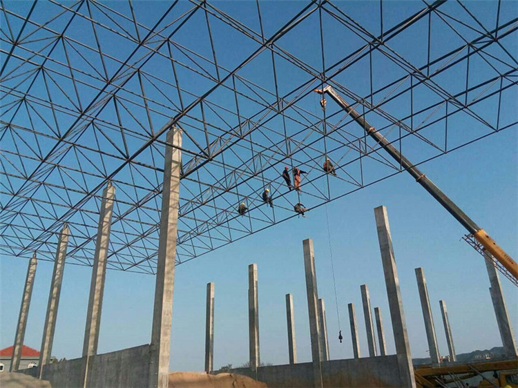 鹤壁加气站钢结构网架案例10